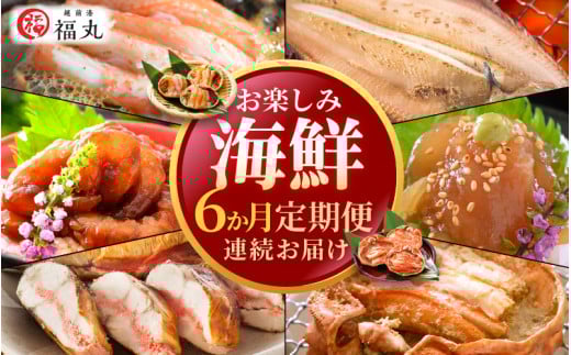 定期便 ≪6ヶ月連続お届け≫ お楽しみ 海鮮 セット【カニ ずわいがに えび 明太子 鯖 カレイ漬け丼 冷凍 小分け 】 [e15-g002]