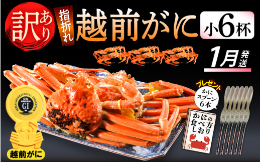 【訳あり】≪浜茹で≫指折れ 越前がに（小） × 6杯 食べ方しおり かにスプーン付き【雄 ズワイガニ ずわいがに 越前ガニ 姿 ボイル 冷蔵 福井県】【1月発送分】希望日指定可 備考欄に希望日をご記入ください [e15-x002【】01]