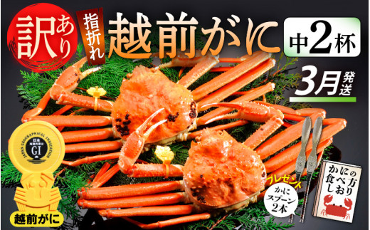 【訳あり】≪浜茹で≫指折れ 越前がに（中） × 2杯 食べ方しおり かにスプーン付き【雄 ズワイガニ ずわいがに 越前ガニ 姿 ボイル 冷蔵 福井県】【3月発送分】希望日指定可 備考欄に希望日をご記入ください [e15-x004【】03]
