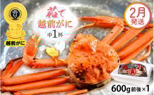 越前がに本場の越前町からお届け！ 越前がに 浜茹で 中サイズ（生で600g前後） × 1杯 かにの食べ方しおり かにスプーン付き【かに カニ 蟹】【福井県 越前町 雄 ズワイガニ ボイル 冷蔵 越前ガニ 越前かに 越前カニ ずわいがに ずわい蟹 かに カニ 蟹】【2月発送分】希望日指定可 備考欄に希望日をご記入ください [e15-x008【】02]