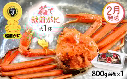 越前がに本場の越前町からお届け！ 越前がに 浜茹で 大サイズ（生で800g前後） × 1杯 かにの食べ方しおり かにスプーン付き【かに カニ 蟹】【福井県 越前町 雄 ズワイガニ ボイル 冷蔵 越前ガニ 越前かに 越前カニ ずわいがに ずわい蟹 かに カニ 蟹】【2月発送分】希望日指定可 備考欄に希望日をご記入ください [e15-x010【】02]