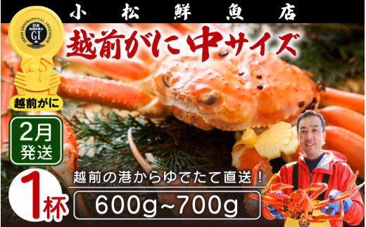 越前がに本場の越前町からお届け！ 越前がに 浜茹で 中サイズ（生で600～700g） × 1杯【かに カニ 蟹】【福井県 越前町 雄 ズワイガニ ボイル 冷蔵 越前ガニ 越前かに 越前カニ ずわいがに ずわい蟹 かに カニ 蟹】【2月発送分】希望日指定可 備考欄に希望日をご記入ください [e23-x003【】02]