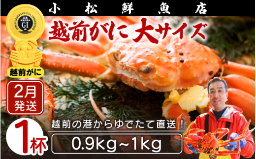 越前がに本場の越前町からお届け！ 越前がに 浜茹で 大サイズ（生で0.9～1kg） × 1杯【かに カニ 蟹】【福井県 越前町 雄 ズワイガニ ボイル 冷蔵 越前ガニ 越前かに 越前カニ ずわいがに ずわい蟹 かに カニ 蟹】【2月発送分】希望日指定可 備考欄に希望日をご記入ください [e23-x004【】02]