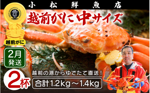 越前がに本場の越前町からお届け！ 越前がに≪浜茹で≫中サイズ（生で600～700g） × 2杯【かに カニ 蟹】地元で喜ばれるゆで加減・塩加減で越前の港から直送！【福井県 越前町 雄 ズワイガニ ボイル 冷蔵 越前ガニ 越前かに 越前カニ ずわいがに ずわい蟹 かに カニ 蟹】【2月発送分】希望日指定可 備考欄に希望日をご記入ください [e23-x009【】02]