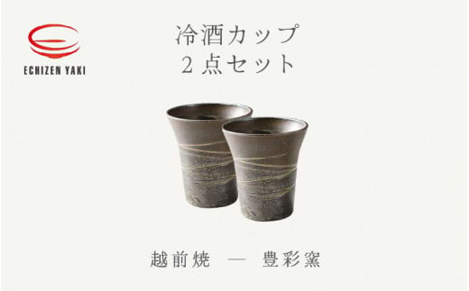 【越前焼】冷酒カップ 2点セット 豊彩窯【ビール 酒 コップ カップ マグカップ 食器 ギフト うつわ 電子レンジ 食洗機 工芸品 陶芸 作家 陶器 】 [e25-a031]