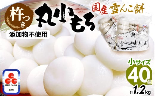 雪んこ餅 杵つき餅 丸小もち 計1.2kg（30g × 40個 ）小さいサイズ餅 国産【雑煮 ぜんざい 年末年始 御馳走 添加物不使用 少量 小分け】 [e26-a011]
