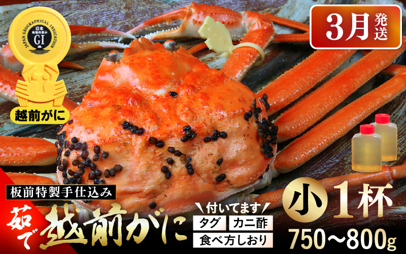 ≪茹で≫越前がに小（タグ付き）1杯（生で750～800g）カニ酢90cc付 板前特製手仕込み 食べ方しおり付き【3月発送分】 [e29-x001【】03]