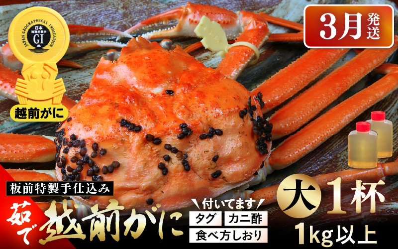 ≪茹で≫越前がに大（タグ付き）1杯（生で1kg以上）カニ酢90cc付 板前特製手仕込み 食べ方しおり付き【雄 ズワイガニ かに カニ 蟹 越前ガニ 姿 ボイル 冷蔵 福井県】【3月発送分】希望日指定可 備考欄に電話番号をご記入ください [e29-x002【】03]