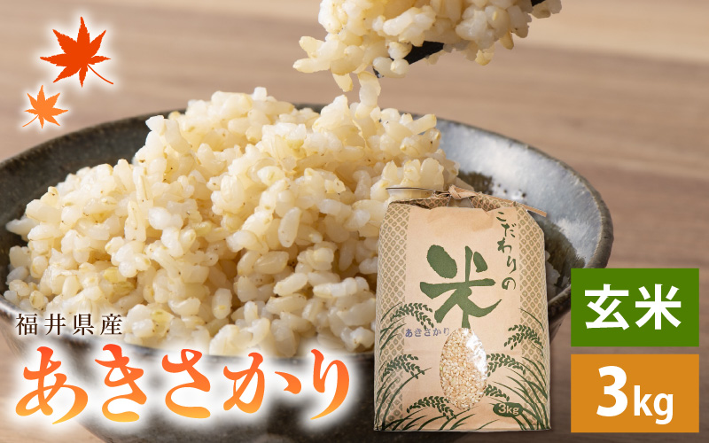 【新米】 令和7年産 あきさかり 3kg 福井県産 コシヒカリ系統品種【玄米】【お米 アキサカリ 3キロ】 [e30-a090]