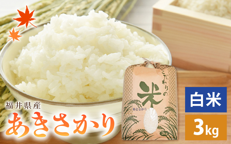 【新米】 令和7年産 あきさかり 3kg 福井県産 コシヒカリ系統品種【白米】【お米 アキサカリ 3キロ】 [e30-a091]