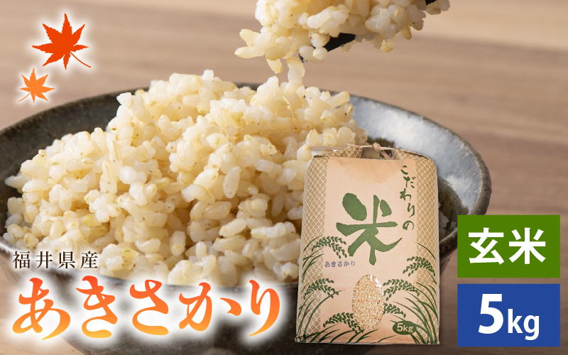【新米】 令和7年産 あきさかり 5kg 福井県産 コシヒカリ系統品種【玄米】【お米 アキサカリ 5キロ】  [e30-a092]