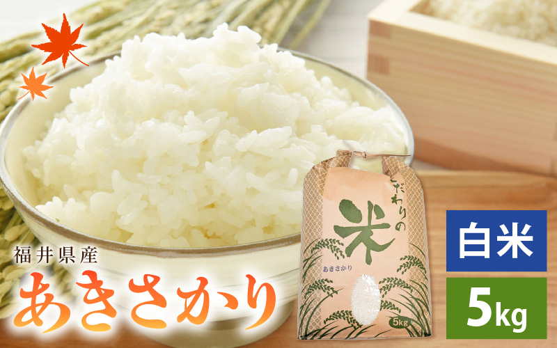 【新米】 令和7年産 あきさかり 5kg 福井県産 コシヒカリ系統品種【白米】【お米 アキサカリ 5キロ】 [e30-a093]