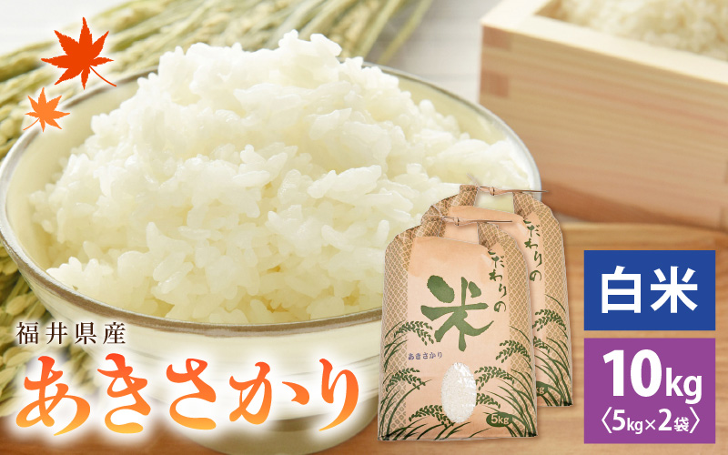【新米】 令和7年産 あきさかり 10kg 福井県産 コシヒカリ系統品種【白米】【お米 アキサカリ 10キロ】 [e30-b013]