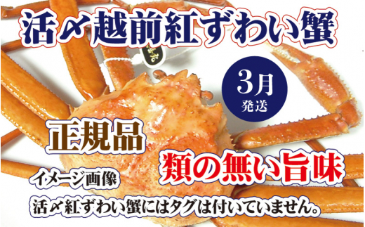 活〆越前 紅ずわいがに × 1杯 旨味満載！！【浜茹で 紅ズワイガニ 紅ずわい蟹 かに カニ 蟹 姿 ボイル 冷蔵 福井県】【3月発送分】希望日指定不可 [e37-x001【】03b]