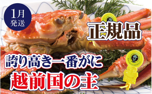 越前がに × 1杯（一番蟹）越前国の主！越前がにの象徴【雄 ズワイガニ ずわいがに 姿 生 ボイル 冷蔵 福井県】【1月発送分】【浜茹でお届け】希望日指定可 備考欄に希望日をご記入ください [e37-x006【】01b]