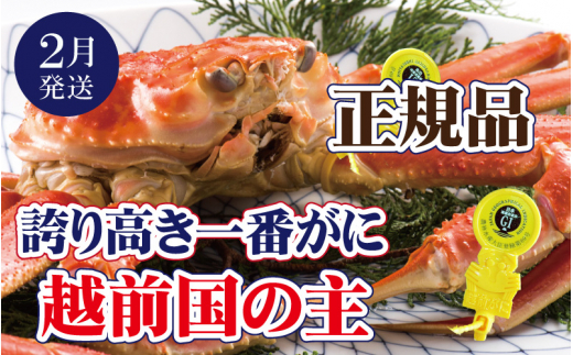 越前がに × 1杯（一番蟹）越前国の主！越前がにの象徴【雄 ズワイガニ ずわいがに 姿 生 ボイル 冷蔵 福井県】【2月発送分】【浜茹でお届け】希望日指定可 備考欄に希望日をご記入ください [e37-x006【】02b]