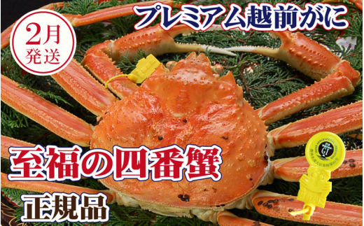 越前がに × 1杯（四番蟹）桐箱入り！至福のプレミアム越前がに【雄 ズワイガニ かに カニ 蟹 姿 生 ボイル 冷蔵 福井県】【2月発送分】【浜茹でお届け】希望日指定可 備考欄に希望日をご記入ください [e37-x007【】02b]