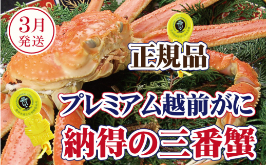 越前がに × 1杯（三番蟹）桐箱入り！納得のプレミアム越前がに【雄 ズワイガニ かに カニ 蟹 姿 生 ボイル 冷蔵 福井県】【3月発送分】【生でお届け】希望日指定可 備考欄に希望日をご記入ください [e37-x008【】03a]