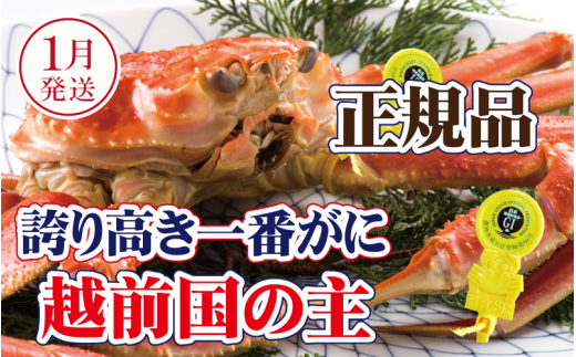 越前がに × 1杯（一番蟹）桐箱入り！越前国の主！越前がにの象徴【雄 ズワイガニ かに カニ 蟹 姿 生 ボイル 冷蔵 福井県】【1月発送分】【浜茹でお届け】希望日指定可 備考欄に希望日をご記入ください [e37-x010【】01b]