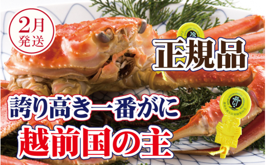 【浜茹でお届け】越前がに × 1杯（一番蟹）桐箱入り！越前国の主！越前がにの象徴【雄 ズワイガニ かに カニ 蟹 姿 生 ボイル 冷蔵 福井県】【2月発送分】希望日指定可 備考欄に希望日をご記入ください [e37-x010【】02b]