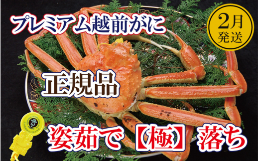 越前がに「極落ち」 × 1杯 桐箱入り！越前の至宝 最高ランクのプレミアム越前がに【雄 ズワイガニ ずわいがに 姿 生 ボイル 冷蔵 福井県】【2月発送分】【生でお届け】希望日指定可 備考欄に希望日をご記入ください [e37-x012【】02a]