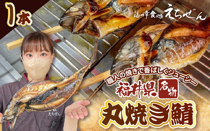 【先行予約】【福井県名物】丸焼き鯖 1本 職人の焼きで香ばしくジューシー 【2026年5月下旬頃より順次発送】【さば 焼き魚 焼き サバ 丸焼き 惣菜 半夏生 はんげしょう 酒の肴 郷土料理】 [e38-a004]