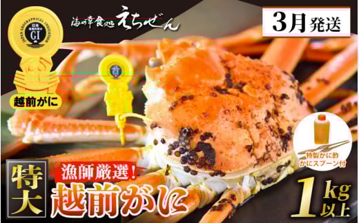 ≪浜茹で≫ 越前がに 特大 × 1杯（生で1kg以上） 越前がに漁師厳選！かに酢 かにスプーン2本 食べ方QRコード付き【雄 ズワイガニ ずわいがに 越前ガニ 姿 ボイル 冷蔵 福井県】【3月発送分】希望日指定可 備考欄に希望日をご記入ください [e38-x001【】03]