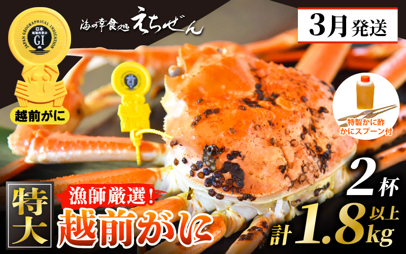 ≪浜茹で≫ 越前がに 特大 × 2杯（生で計1.8kg以上） 越前がに漁師厳選！かに酢 かにスプーン4本 食べ方QRコード付き【雄 ズワイガニ ずわいがに 姿 ボイル 冷蔵 福井県】【3月発送分】希望日指定可 備考欄に希望日をご記入ください [e38-x002_03]