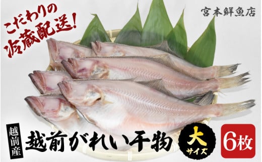 冷蔵配送！ 越前産 赤かれい 干物 大サイズ 6枚 添加物不使用 産地直送！こだわり一夜干し 調理しやすい【魚介 ひもの 干物 赤ガレイ かれい干物 カレイひもの 人気 お取り寄せ グルメ】 [e43-a001]