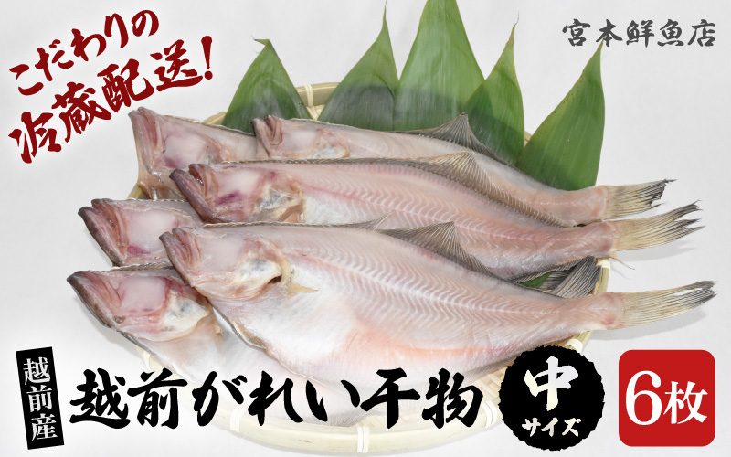 冷蔵配送！ 越前産 赤かれい 干物 中サイズ 6枚 添加物不使用 産地直送！こだわり一夜干し 調理しやすい【魚介 ひもの 干物 赤ガレイ かれい干物 カレイひもの 人気 お取り寄せ グルメ】 [e43-a003]