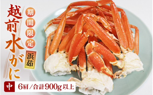 【期間限定】≪浜茹で≫越前産水がに 中サイズ6肩（足のみ 2肩あたり生で300～400g）合計900g以上 産地直送！【雄 ズワイガニ 越前ガニ 足のみ ボイル 冷蔵 かに カニ 蟹 福井県 お手頃】希望日指定可 備考欄に希望日をご記入ください [e43-x008]