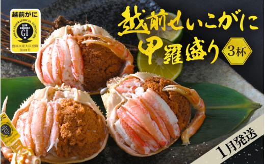 産地直送！越前せいこ蟹 甲羅盛り「身出し」セット 3杯 鮮度にこだわり「冷蔵」発送！旨味満足【雌 ズワイガニ】【越前がに せいこがに セイコガニ セコガニ ボイル むき身 かに カニ 蟹 福井県】【1月発送分】希望日指定可 備考欄に希望日をご記入ください [e49-x004【】01]