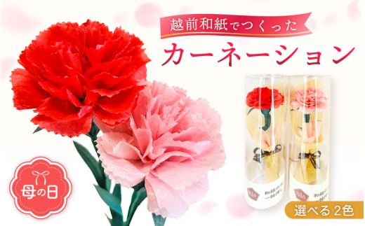 【先行予約】【母の日】カーネーション 花 ギフト 越前和紙 花一輪挿し 【2026年5月発送】「永遠の感謝」 メッセージ【カラー：ピンク】【 フラワーギフト 和紙花 手軽 コンパクト 枯れない  メッセージカード １万円以下】 [e51-a004_02]