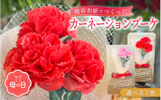 【先行予約】【母の日】カーネーション ブーケ 花 ギフト 越前和紙 花 【2026年5月発送】「永遠の感謝」 メッセージ【カラー：赤色】【 フラワーギフト 和紙花 手軽 コンパクト 枯れない  メッセージカード 】 [e51-a005【】01]