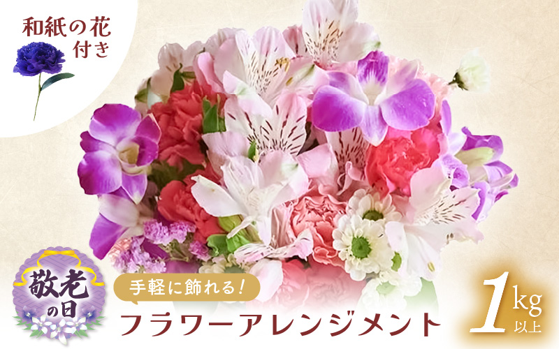 【先行予約】敬老の日限定 そのまま飾れる フラワーアレンジメント 生花【2026年9月18日～9月21日発送】感謝を大切な人に メッセージカード付・越前和紙 小花一輪付【ギフト 手軽 花 華 おしゃれ プレゼント 敬老の日 シルバー 花瓶いらず 水替え無 】 [e51-a011]