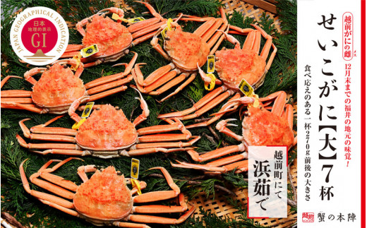 浜茹で【越前せいこがに　大　270g前後】7杯セット　11～12月順次発送 [e56-x003]
