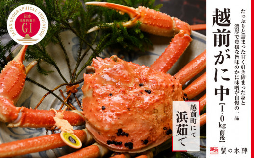 冬の日本海の味　浜茹で【越前がに　1.0kg前後】11月～翌３月順次発送 [e56-x005]