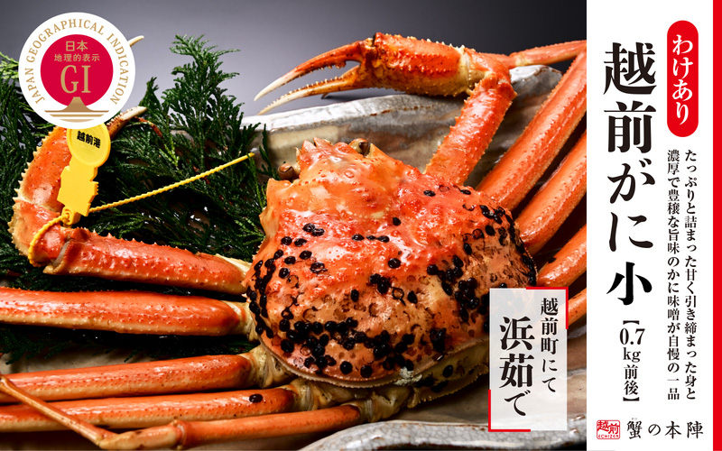 【わけあり】冬の日本海の味 浜茹で【越前がに 0.7kg前後】11月～翌3月順次発送 [e56-x014]