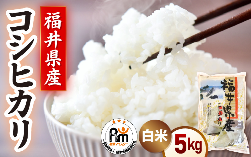 令和7年産 新米 米 5kg 精米 コシヒカリ 福井県産《14日以内に出荷予定》【白米 5キロ こしひかり お米 ごはん 人気品種 産地直送 新生活 kome】 [e66-a013]