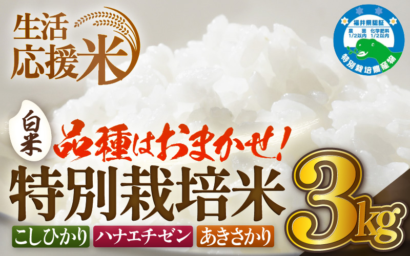 【生活応援米】令和7年産 米 特別栽培米 3kg 福井県越前町産 【白米】【お米 コメ kome 3キロ 家庭用 白米 玄米 農薬5割減】 [e81-a001_01]