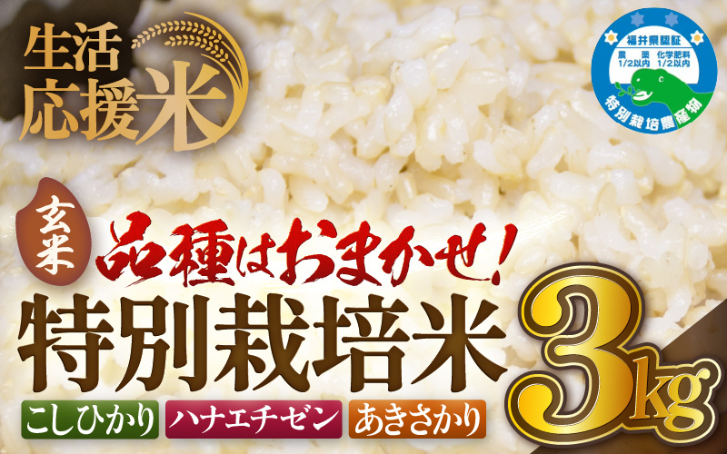 【生活応援米】令和7年産 米 特別栽培米 3kg 福井県越前町産 【玄米】【お米 コメ kome 3キロ 家庭用 白米 玄米 農薬5割減】 [e81-a001_02]
