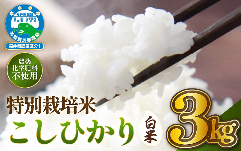 【期間限定】【令和7年産 】 特別栽培米コシヒカリ3kg 無農薬米 福井県認証区分1取得 越前町【白米】【3キロ お米 コメ 農薬化学肥料不使用 送料無料】 [e81-a003_01]