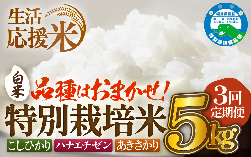 【生活応援米】定期便 ≪3ヶ月連続お届け≫  令和7年産 特別栽培米5kg × 3回（合計15kg）福井県越前町産【白米】【お米 コメ kome 5キロ  白米 玄米 家庭用 農薬5割減】 [e81-c001_01]