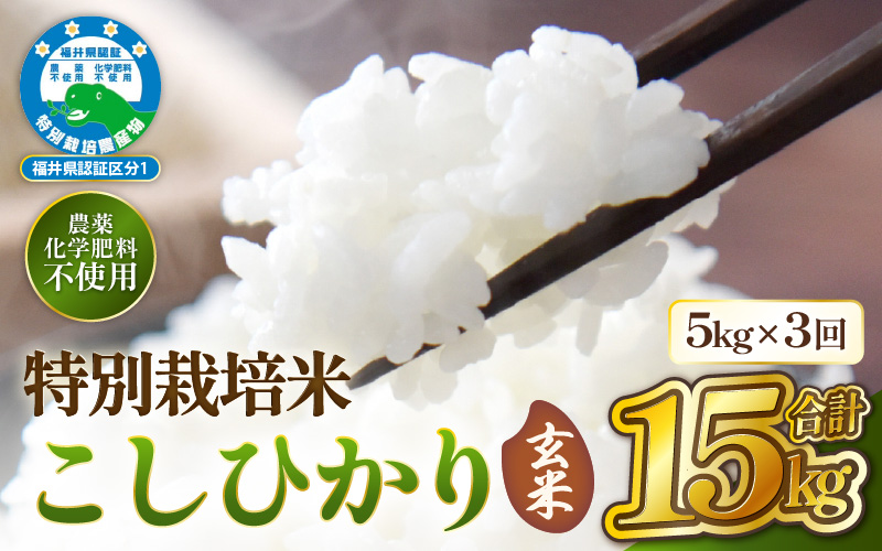 【期間限定】 定期便 ≪3ヶ月連続お届け≫【令和7年産 】特別栽培米コシヒカリ5kg × 3回（合計15kg）【玄米】 無農薬米 福井県認証区分1取得 越前町【5キロ お米 コメ 農薬化学肥料不使用 送料無料】 [e81-f002_02]