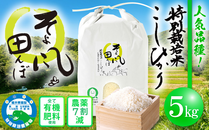 令和7年産 特別栽培米 コシヒカリ 5kg 福井県産米(有機肥料100% 農薬7割減)[令和7年産 人気品種] [e10-a019]