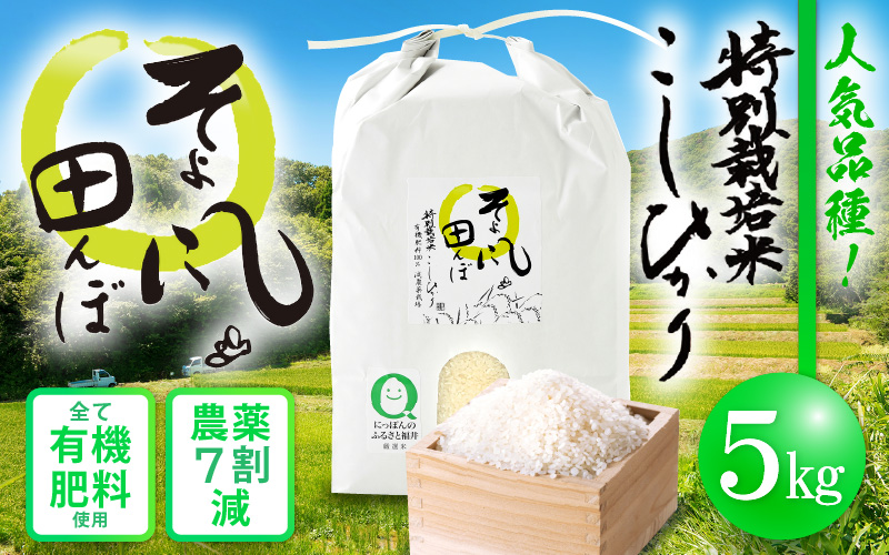 令和6年産 特別栽培米 コシヒカリ 5kg 福井県産米(有機肥料100% 農薬7割減)[令和6年産 人気品種] [e10-a014]