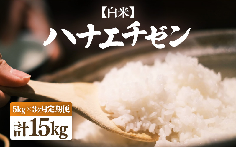 【令和7年産・新米】定期便 ≪3ヶ月連続お届け≫ ハナエチゼン 5kg × 3回（合計15kg）【白米】【お米 こめ はなえちぜん 華越前 人気品種 ブランド米 5キロ 白米 精米 玄米 おにぎり うまい 福井県ブランド米 福井県産】 [e26-c001【】01]