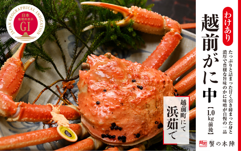 【わけあり】冬の日本海の味 浜茹で【越前がに 1.0kg前後】11月～翌3月順次発送 [e56-x013]