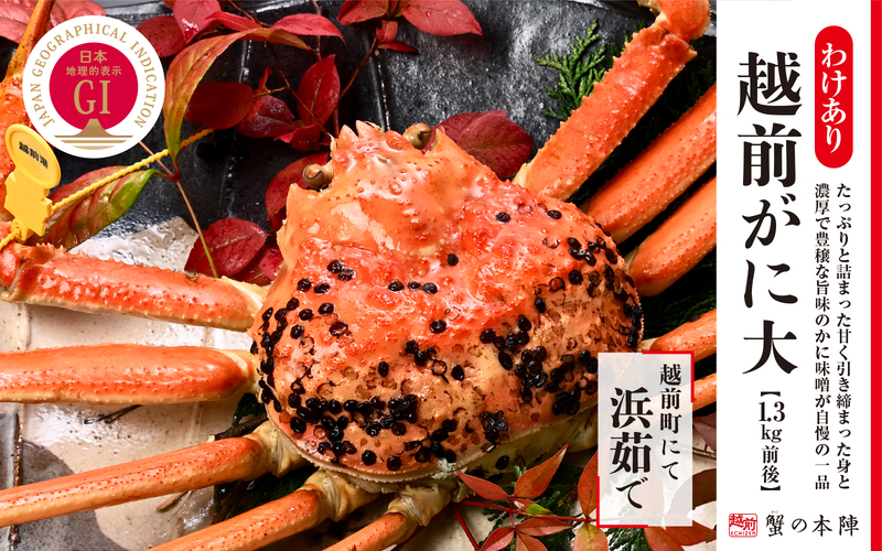 【わけあり】冬の日本海の味 浜茹で【越前がに 1.3kg前後】11月～翌3月順次発送 [e56-x015]