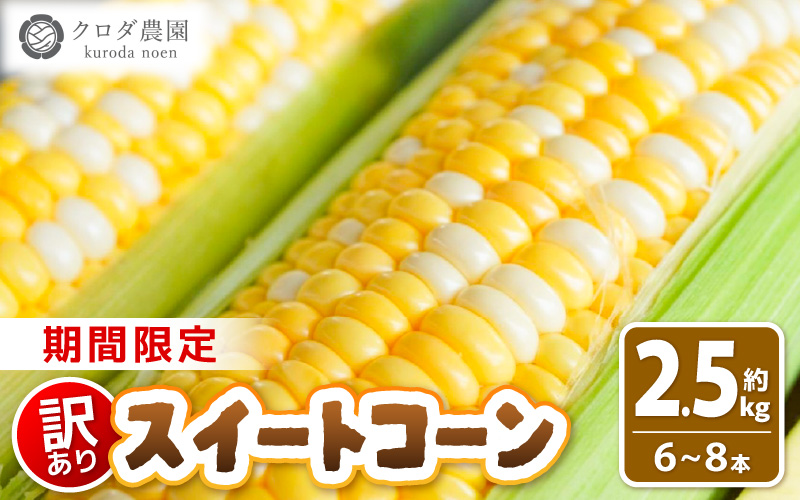 【先行予約】【訳あり】農場直送 鮮度抜群 スイートコーン( とうもろこし ) 約2.5kg（6本～8本) 【2026年7月上旬より順次発送予定】【お楽しみ バーベキュー 冷凍保存可能 焼肉 おやつ ご飯のおとも 野菜 国産 産地直送】 [e62-a008]